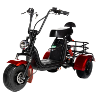 ЭЛЕКТРОСКУТЕР CITYCOCO GT X5 TRIKE 1500W 15AH 48V Красный