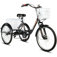 Электровелосипед РВЗ Чемпион 250W 10Ah черный