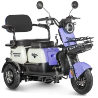 Электротрицикл Rutrike Gelbert Vega 48V/60V 600Вт Фиолетовый