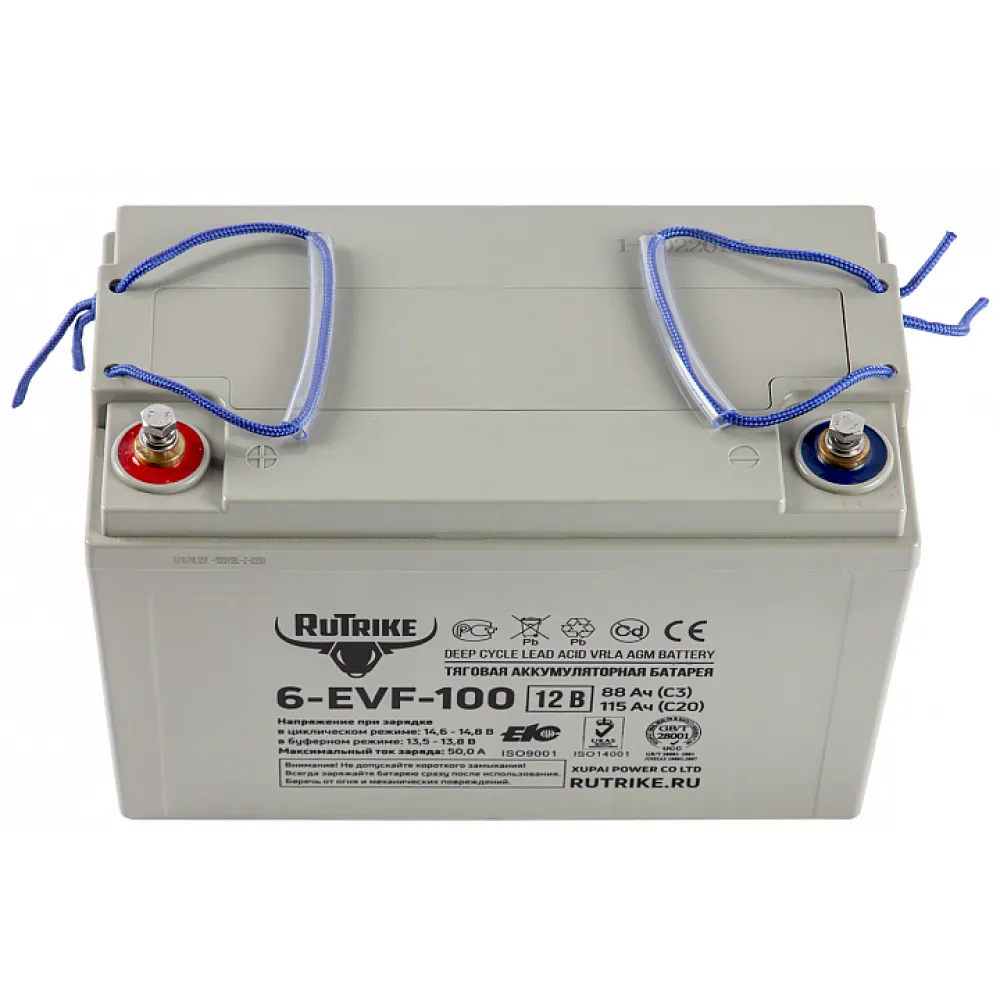 Тяговый аккумулятор RuTrike 6-EVF-100 (12V100A/H C3) 2